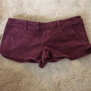Volcom corduroy shorts in maroon